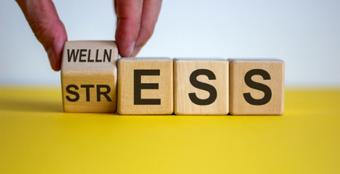 Understanding Stress: Managing Its Impact on Your Well-Being