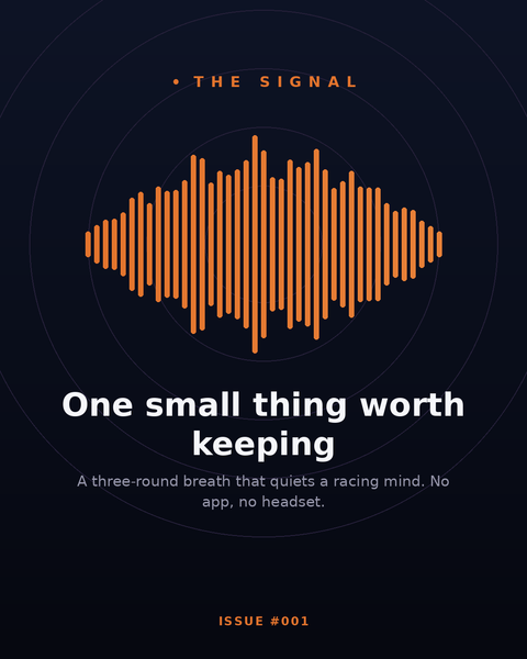 The Signal — Issue #001: One Small Thing Worth Keeping