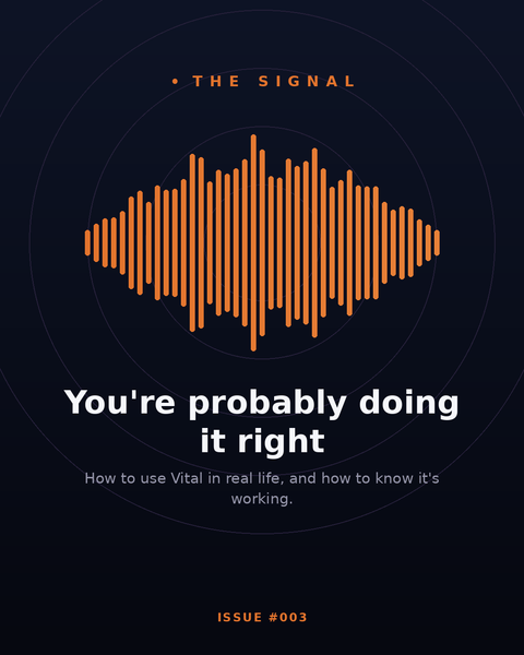 The Signal — Issue #003: You Are Probably Doing It Right