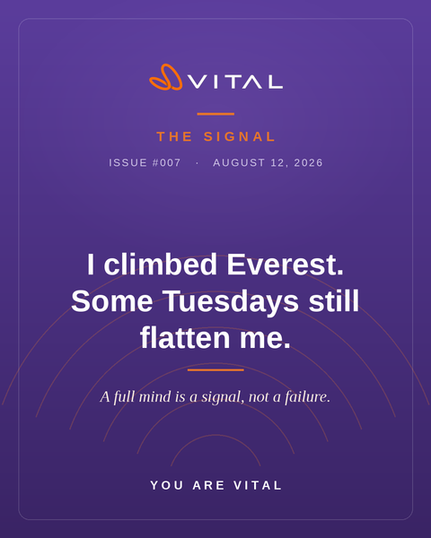 The Signal - Issue #007 I climbed Everest. Some Tuesdays still flatten me.